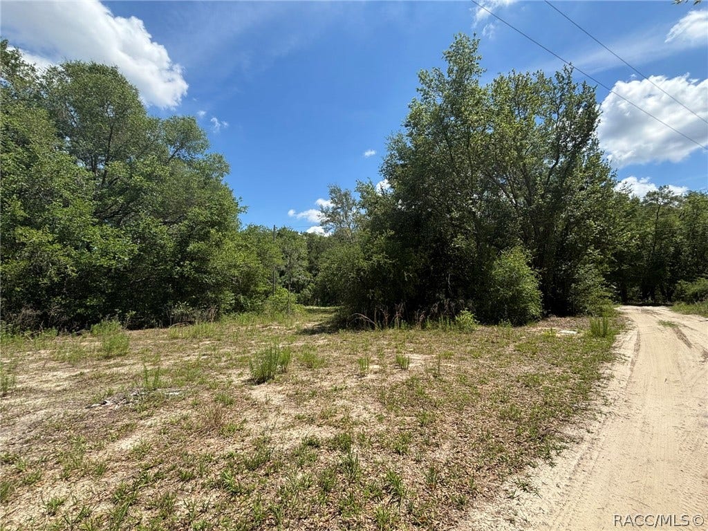 2608 Polk Street, Inverness, FL 34453 2608 Polk Street, Inverness, FL 34453
