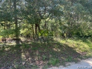 Property photo for 3234 AMPHIBIAN Point, Crystal River, FL
