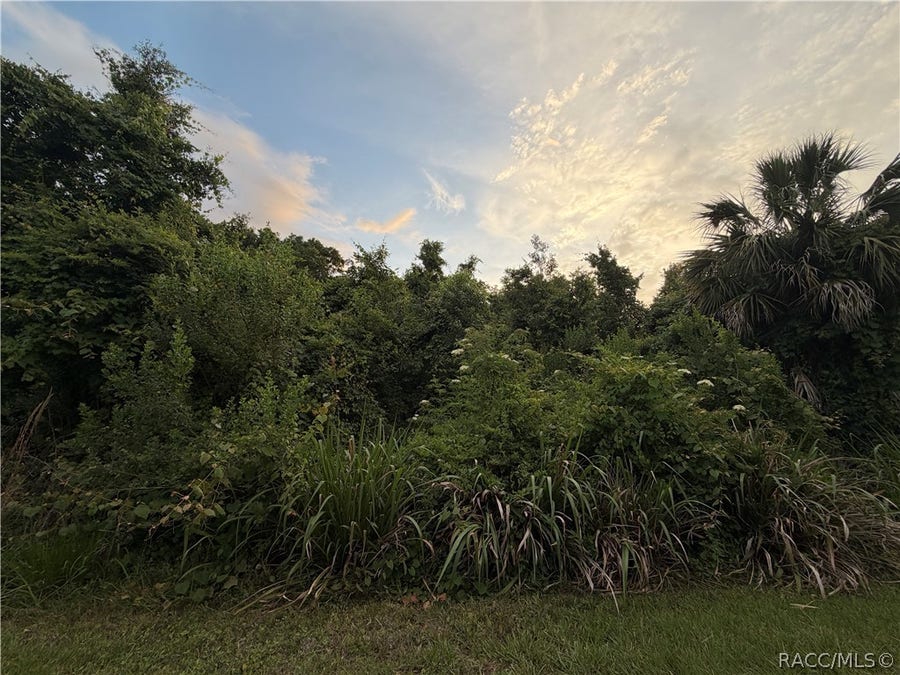 Property photo for 1062 N Fan Palm Point, Crystal River, FL