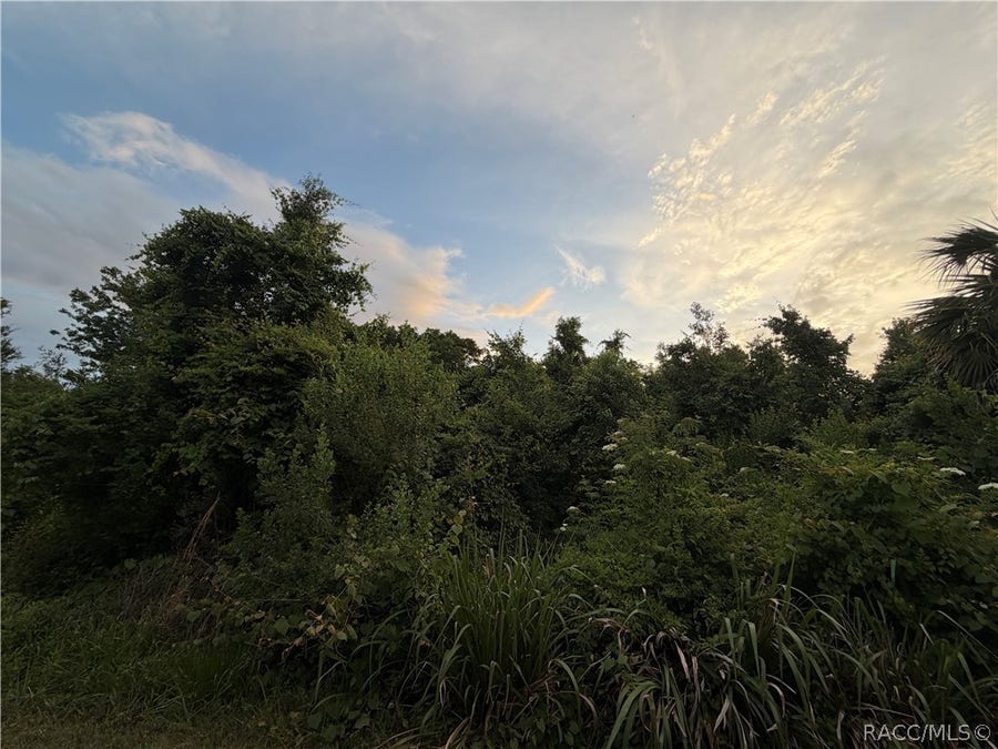 Property photo for 1089 N Fan Palm Point, Crystal River, FL