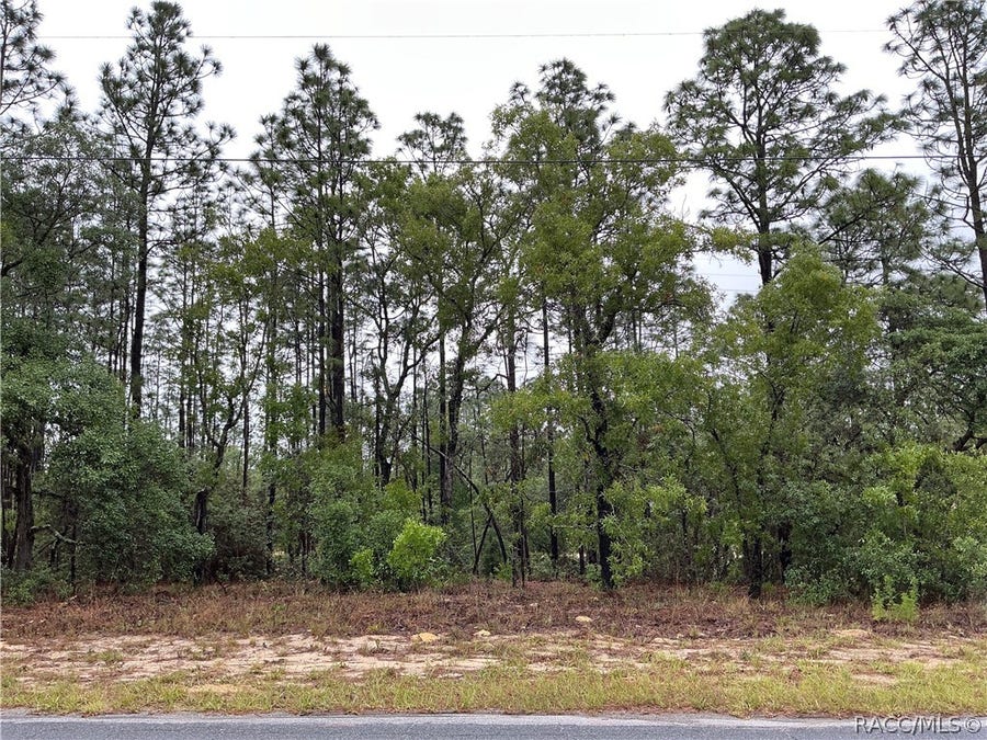 Property photo for 2905 W Sharpes Drive, Citrus Springs, FL
