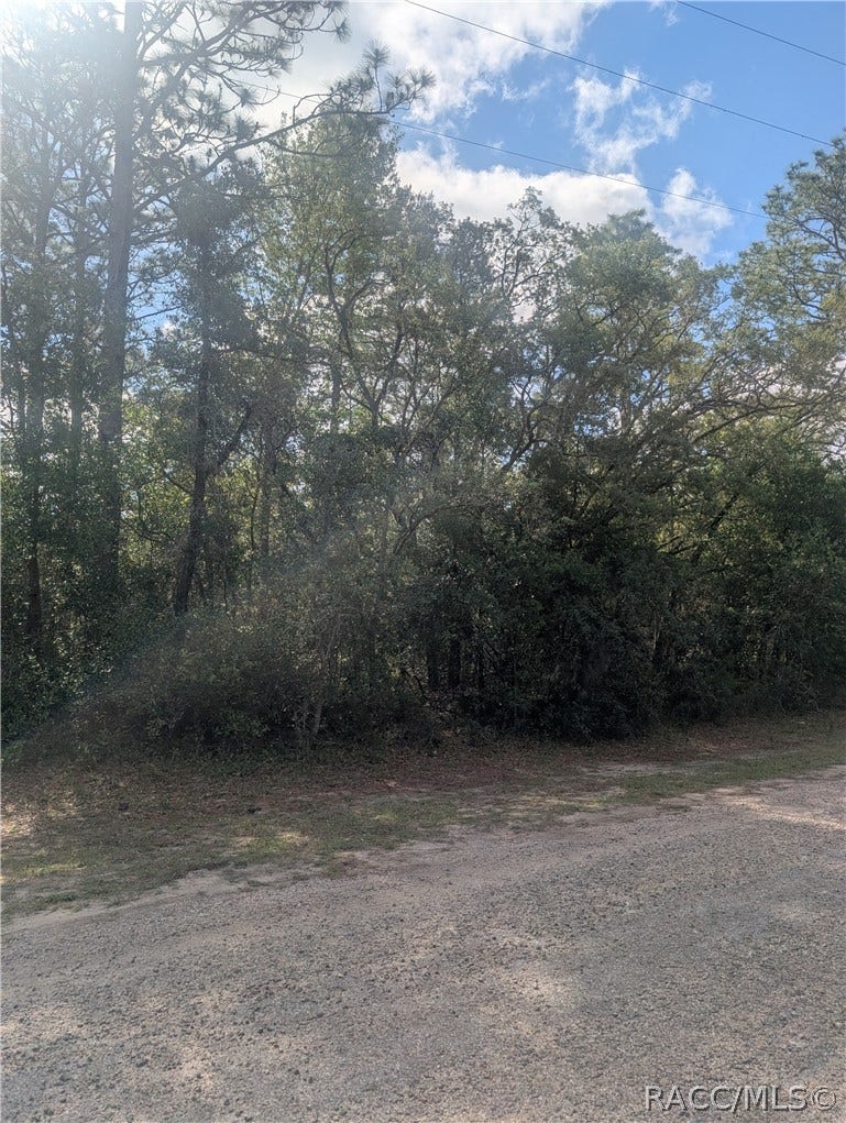 Property photo for 8791 N Folland Drive, Dunnellon, FL