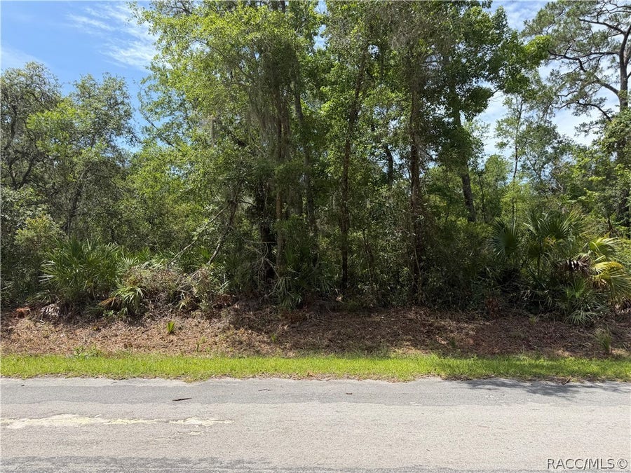 Property photo for 12064 W Deodar Street, Crystal River, FL