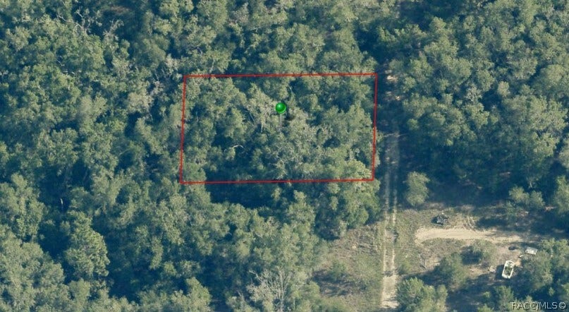 Property photo for 703 Dalwood Avenue, Inverness, FL