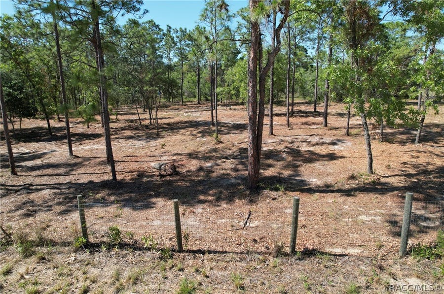 Property photo for 5563 W Osmond Lane, Dunnellon, FL