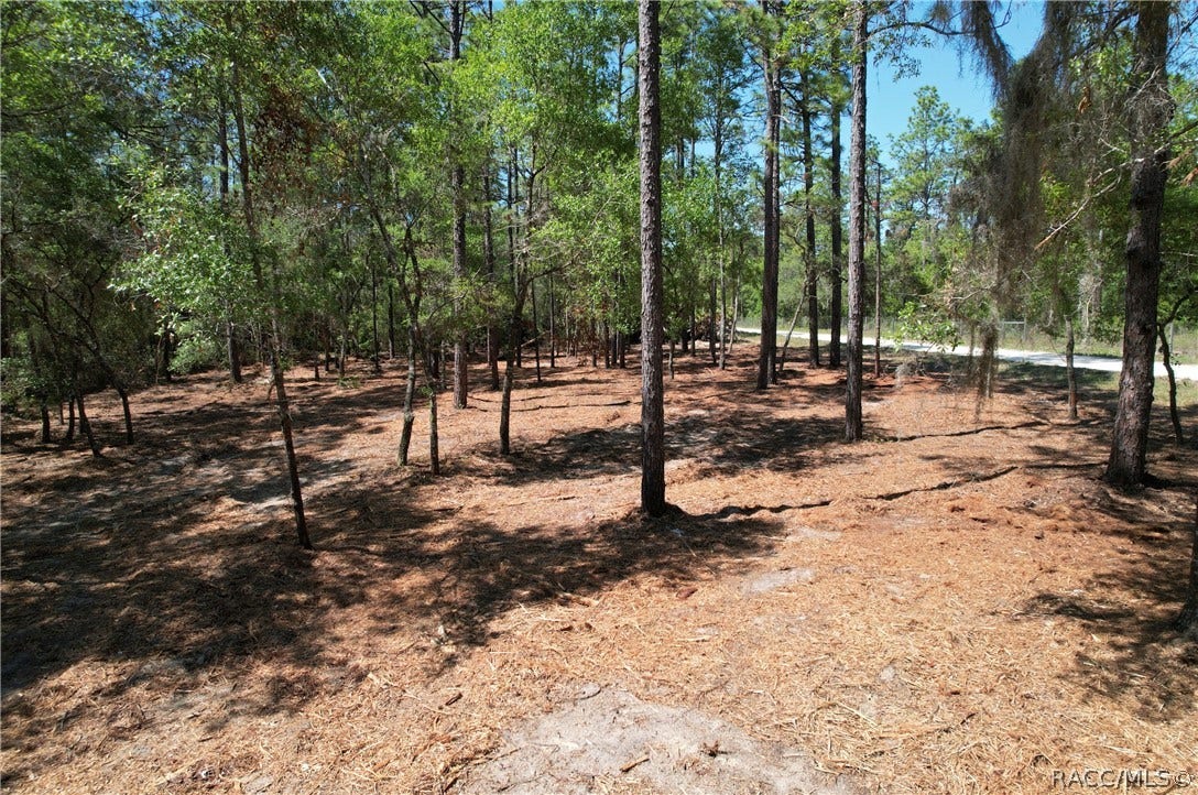 6925 W Copenhagen Street, Dunnellon, FL 34433 6925 W Copenhagen Street, Dunnellon, FL 34433