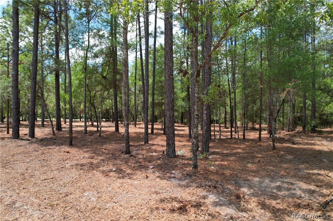6925 W Copenhagen Street, Dunnellon, FL 34433 6925 W Copenhagen Street, Dunnellon, FL 34433