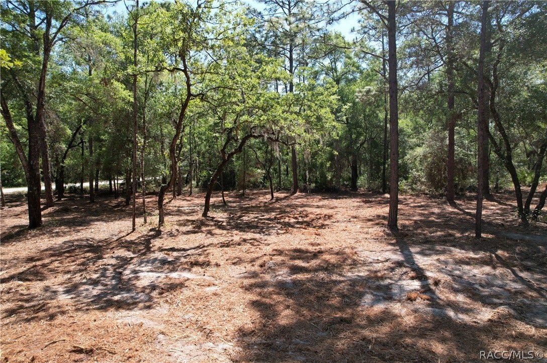 6925 W Copenhagen Street, Dunnellon, FL 34433 6925 W Copenhagen Street, Dunnellon, FL 34433