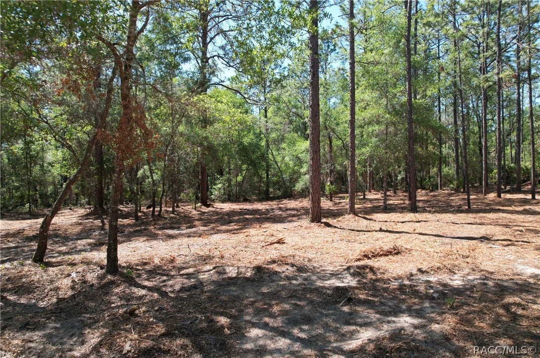 6925 W Copenhagen Street, Dunnellon, FL 34433 6925 W Copenhagen Street, Dunnellon, FL 34433