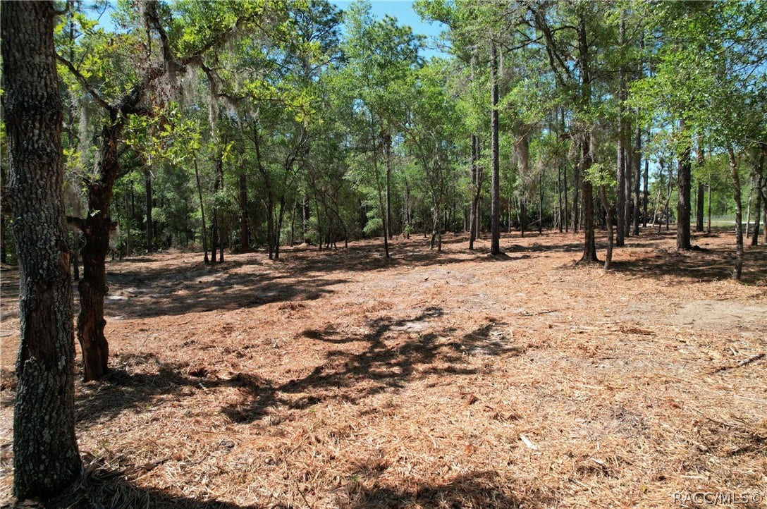 6925 W Copenhagen Street, Dunnellon, FL 34433 6925 W Copenhagen Street, Dunnellon, FL 34433