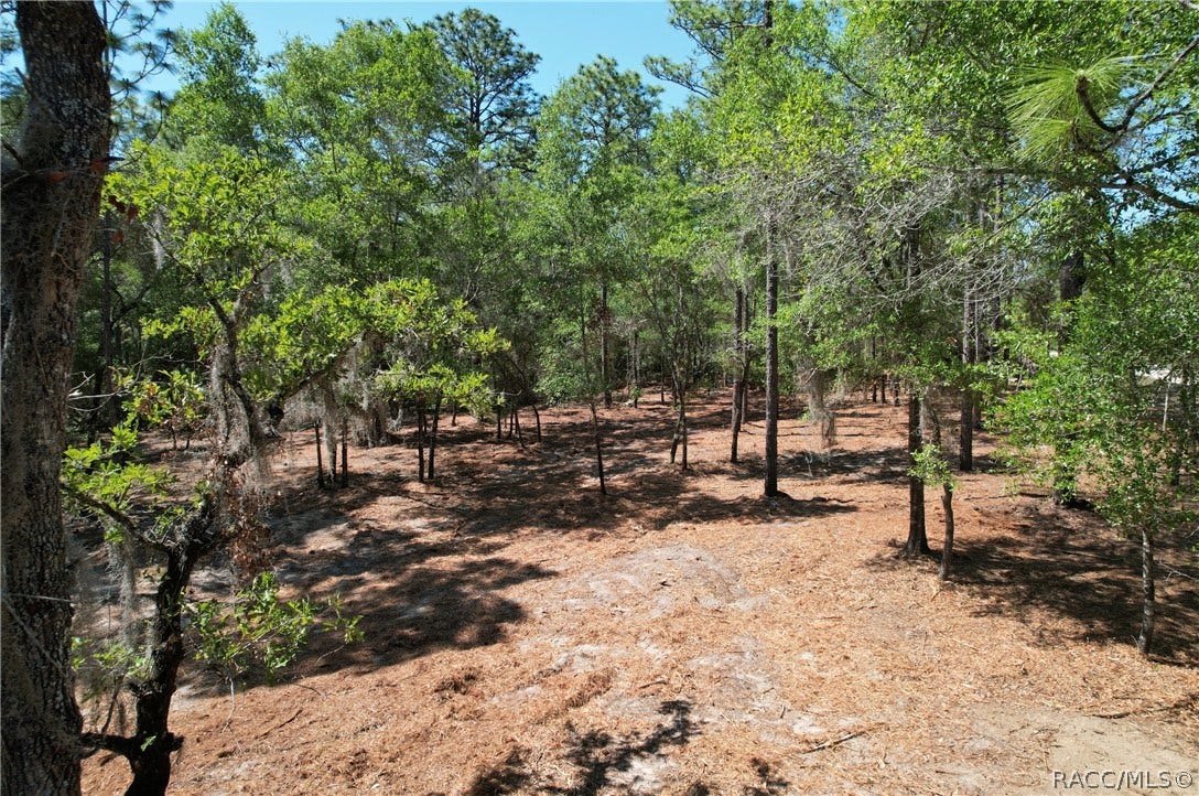 6925 W Copenhagen Street, Dunnellon, FL 34433 6925 W Copenhagen Street, Dunnellon, FL 34433
