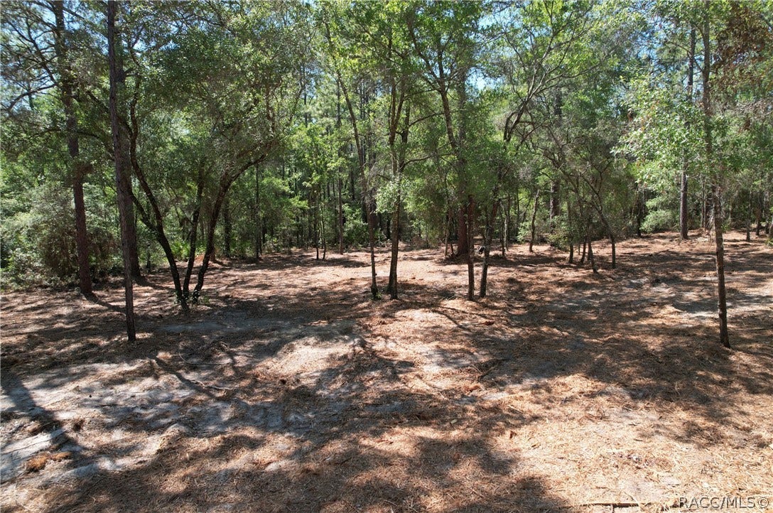 6925 W Copenhagen Street, Dunnellon, FL 34433 6925 W Copenhagen Street, Dunnellon, FL 34433