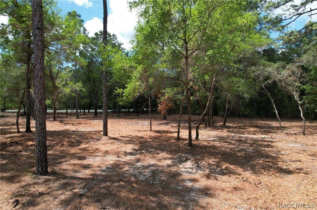 6925 W Copenhagen Street, Dunnellon, FL 34433 6925 W Copenhagen Street, Dunnellon, FL 34433