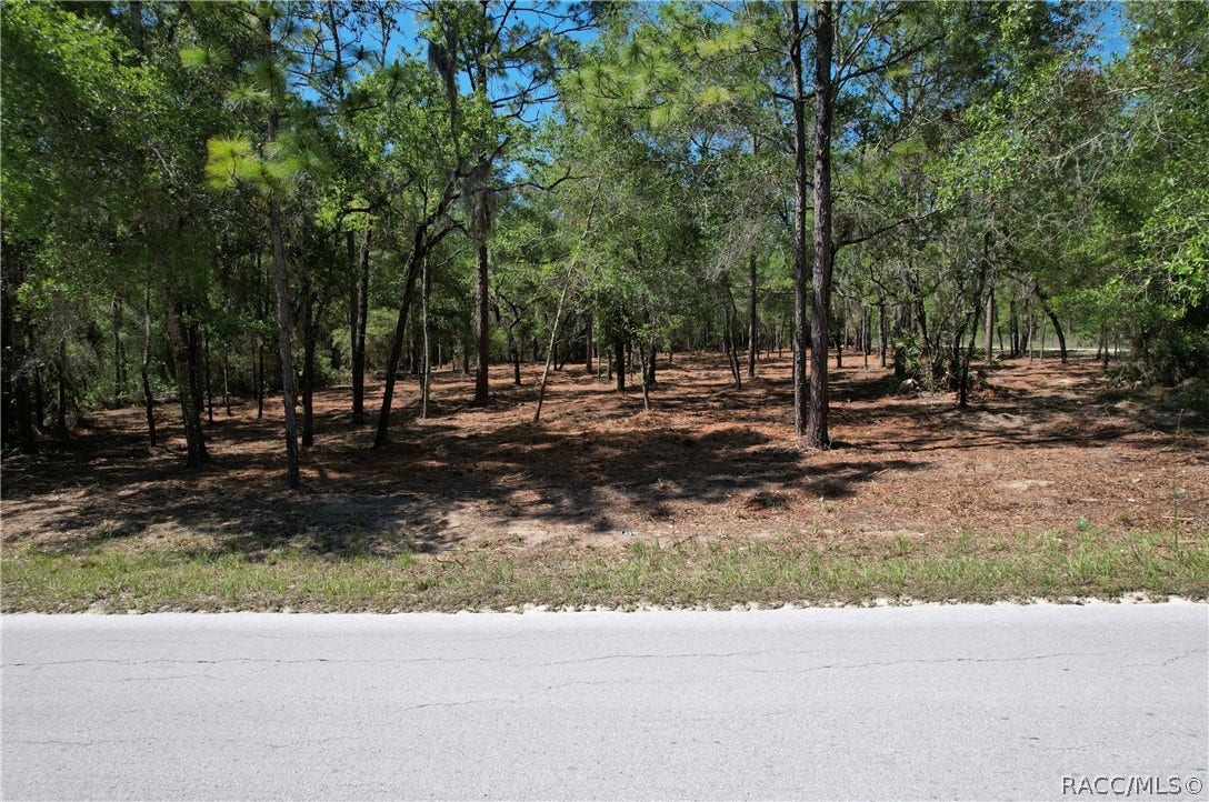 6925 W Copenhagen Street, Dunnellon, FL 34433 6925 W Copenhagen Street, Dunnellon, FL 34433