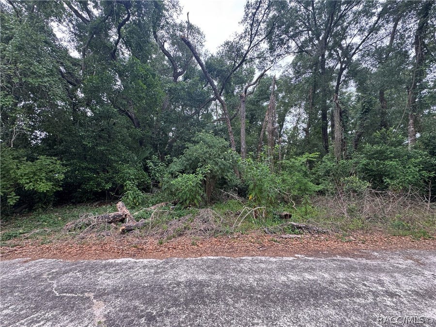 Property photo for 3638 E Lee Drive, Inverness, FL