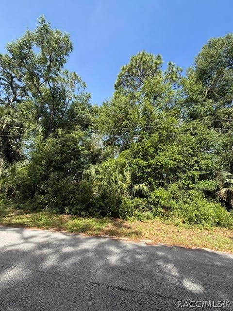 Property photo for 444 N Hourglass Terrace, Crystal River, FL