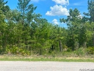 Property photo for 20 Smilax Court, Homosassa, FL