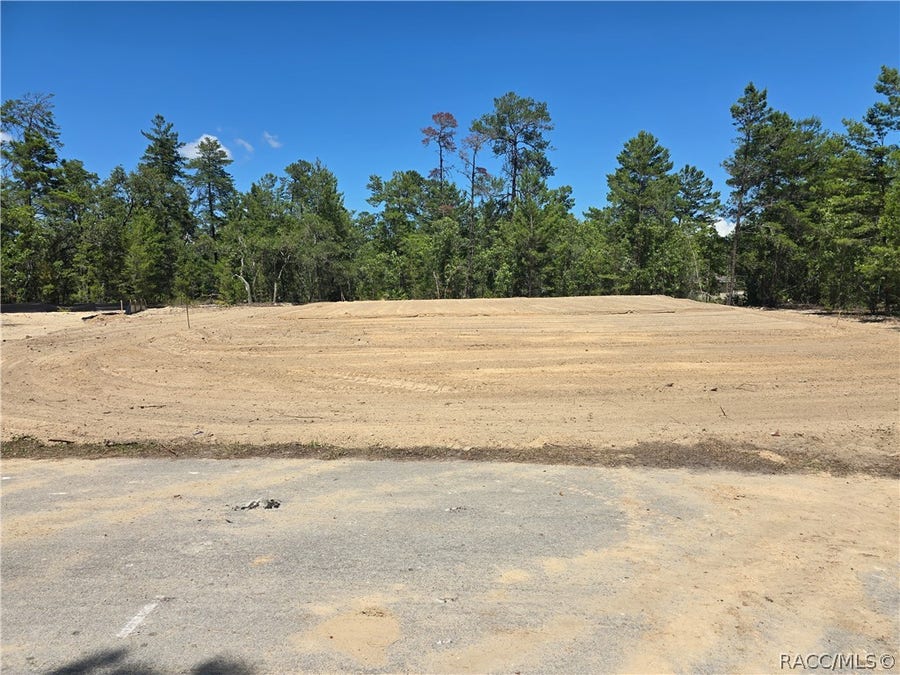 Property photo for 25 Statice Court, Homosassa, FL