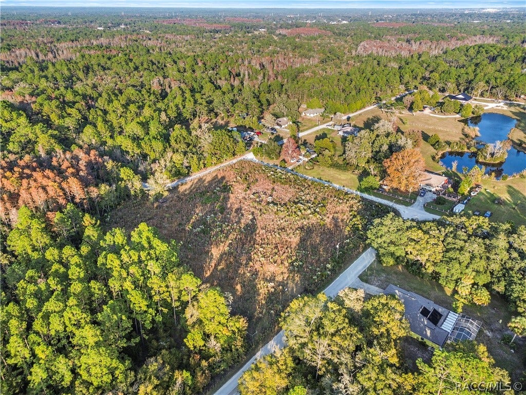 1146 N Jorie Terrace, Crystal River, FL 34429 1146 N Jorie Terrace, Crystal River, FL 34429