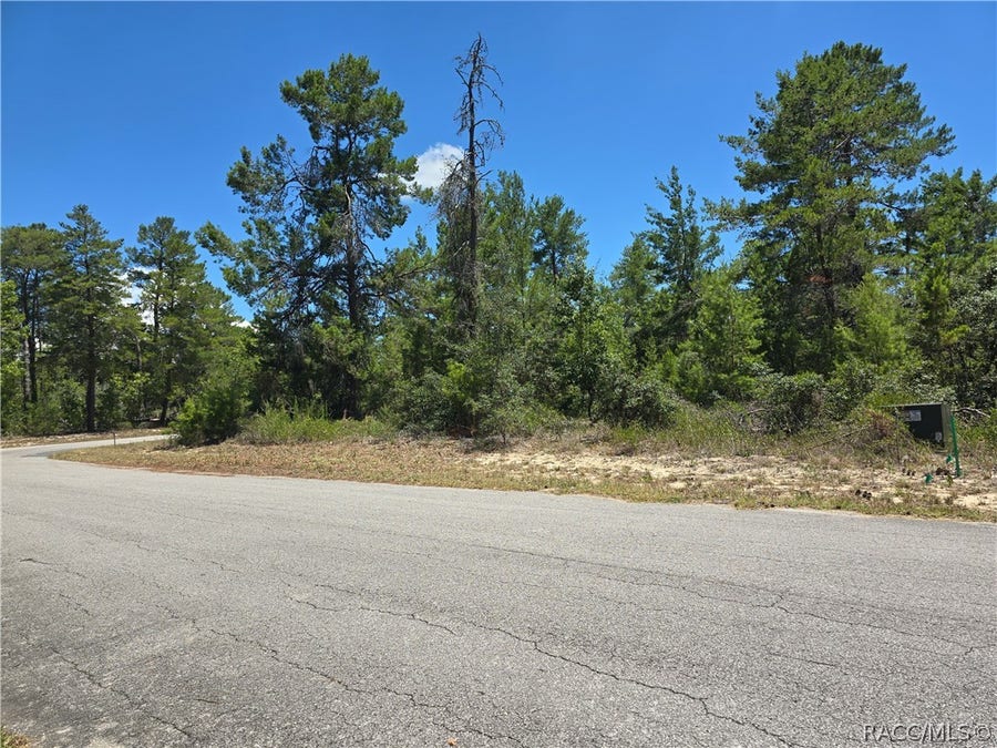 Property photo for 16 Heuchera Court E, Homosassa, FL