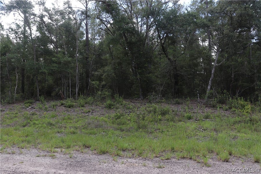 Property photo for 653 Vercelli Lane, Dunnellon, FL