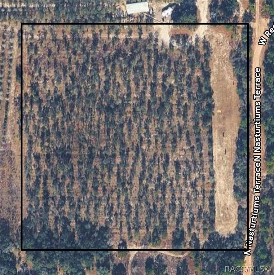 Property photo for 8308 N Nasturtiums Terrace, Dunnellon, FL