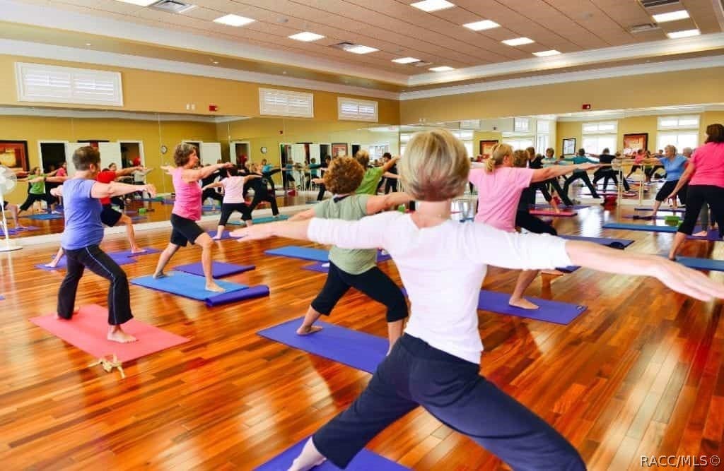 yogo studio