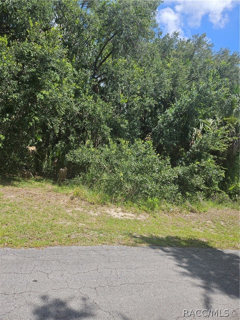 Property photo for 60 S Camellia Avenue, Crystal River, FL