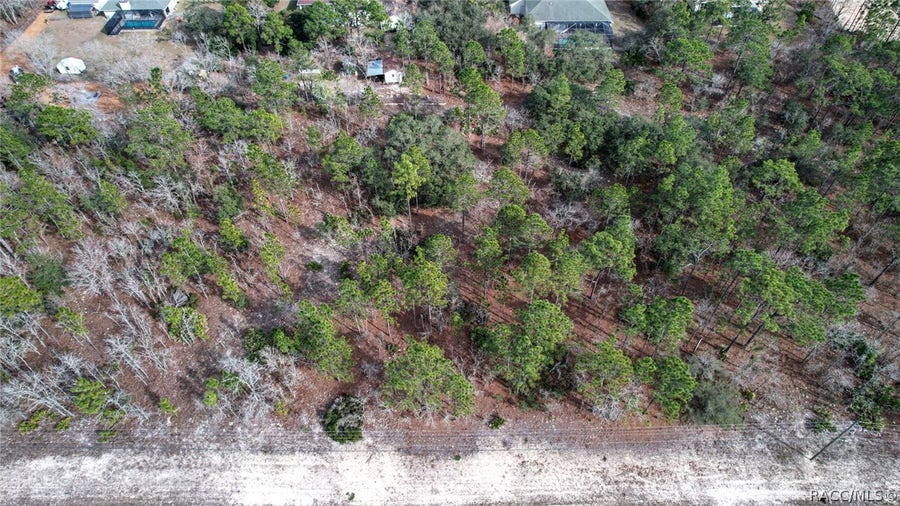 Property photo for 9188 N Tiffin Terrace, Dunnellon, FL