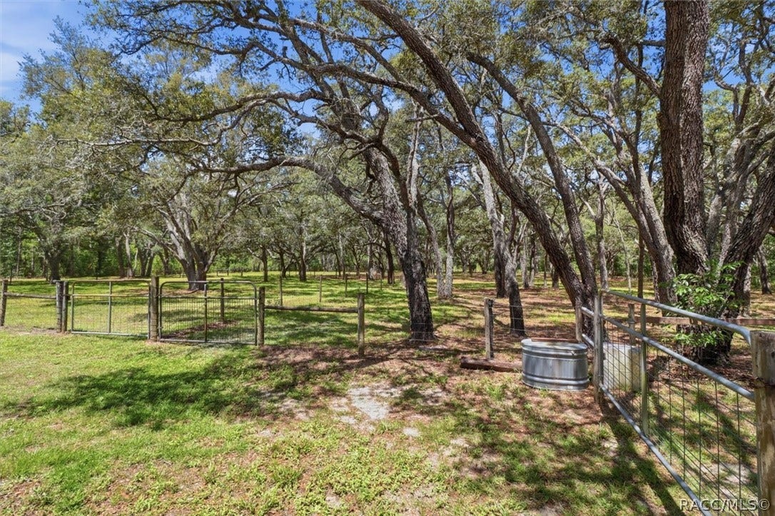 7298 S Rama Avenue, Lecanto, FL 34461