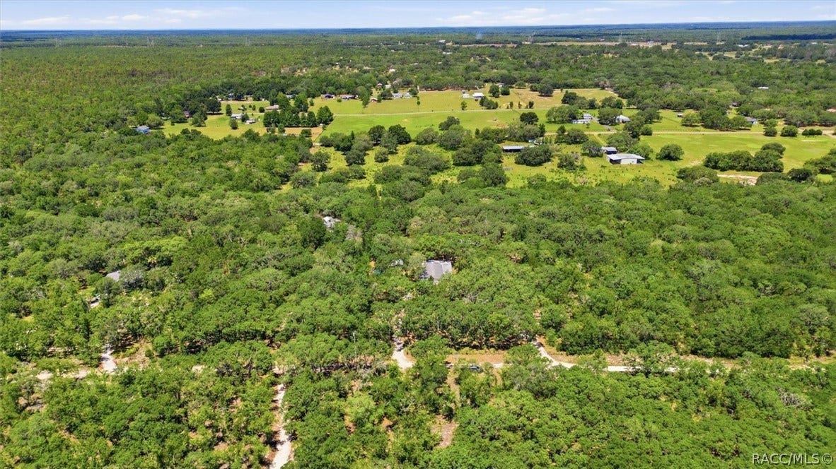 7298 S Rama Avenue, Lecanto, FL 34461