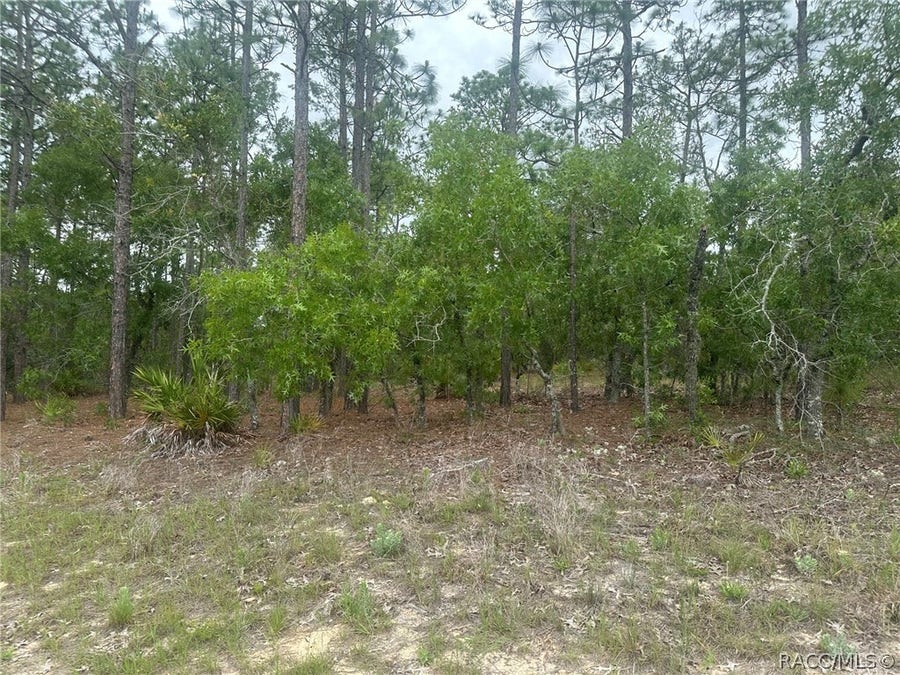 Property photo for 4809 W Gypsum Drive, Beverly Hills, FL