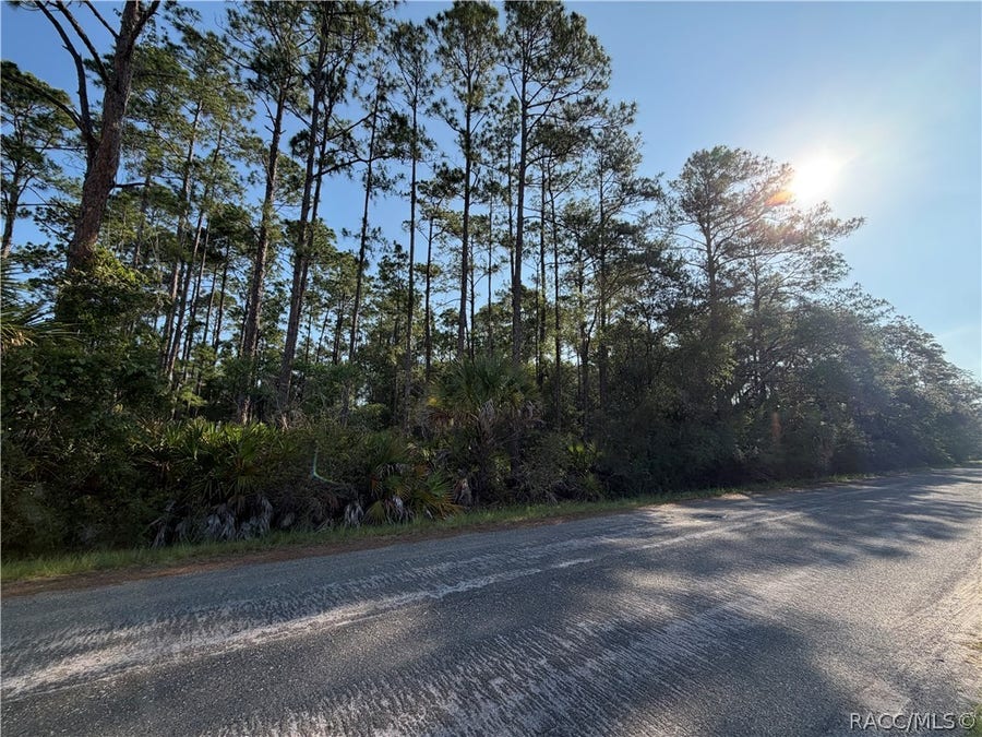 Property photo for 11023 W Acacia Drive, Crystal River, FL