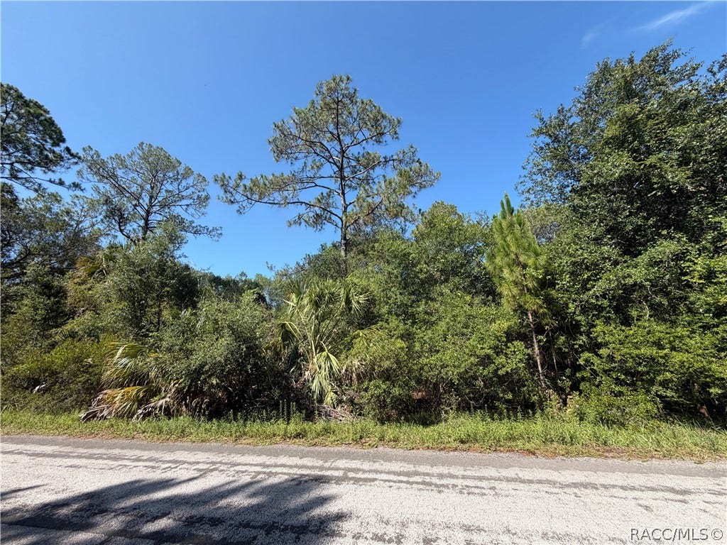 9614 N Dawnflower Avenue, Crystal River, FL 34428 9614 N Dawnflower Avenue, Crystal River, FL 34428