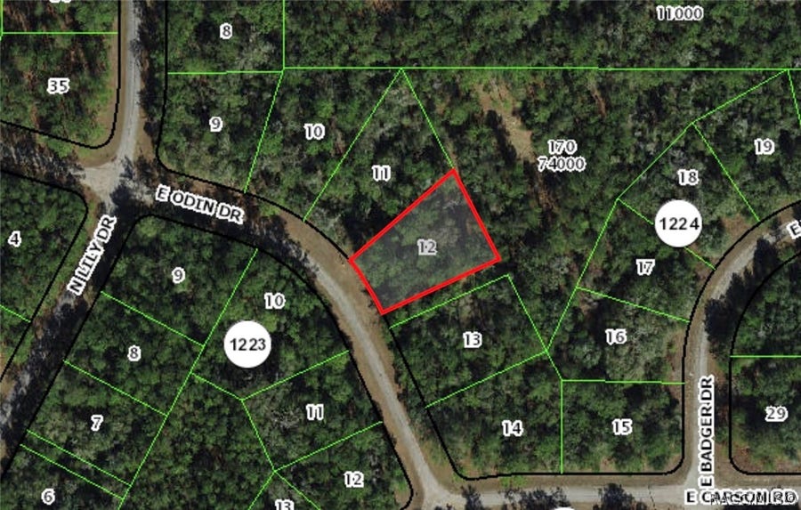 Property photo for 1455 E Odin Drive, Dunnellon, FL