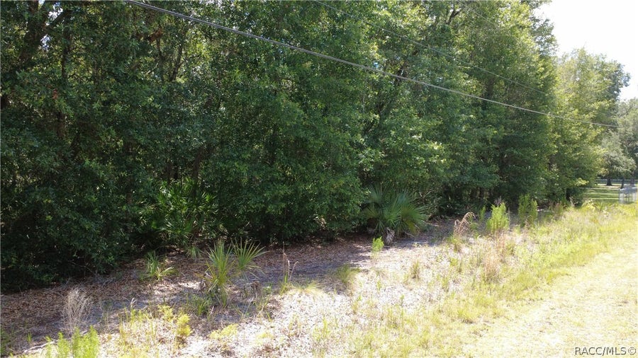 Property photo for 12792 W Baltic Ivy Street, Crystal River, FL
