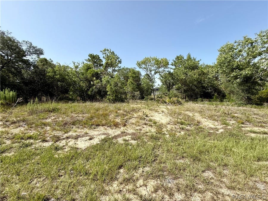 Property photo for 3371 W Seahorse Lane, Dunnellon, FL