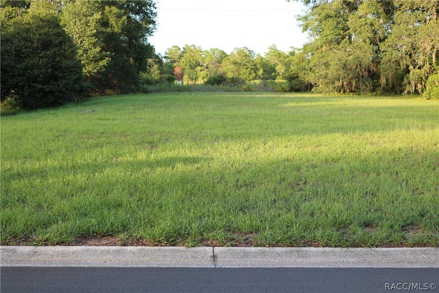 Property photo for 1697 N Wembley Drive, Crystal River, FL