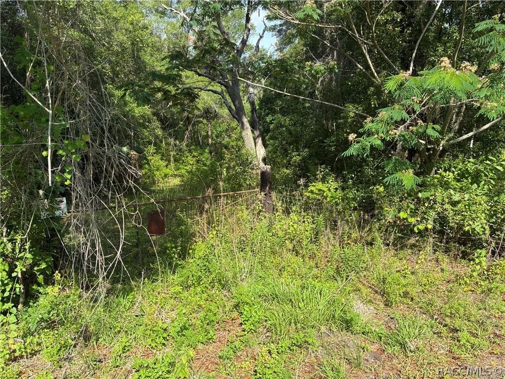 5326 N Oldwood Point, Hernando, FL 34442 5326 N Oldwood Point, Hernando, FL 34442
