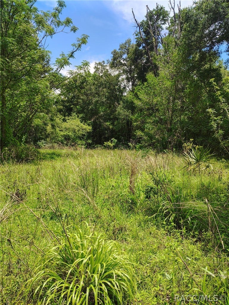 5326 N Oldwood Point, Hernando, FL 34442 5326 N Oldwood Point, Hernando, FL 34442