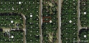 1273 E Toledo Drive, Citrus Springs, FL 34434