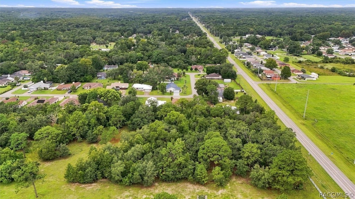 4051 S Winding Oaks Drive, Homosassa, FL 34446 Aerial View