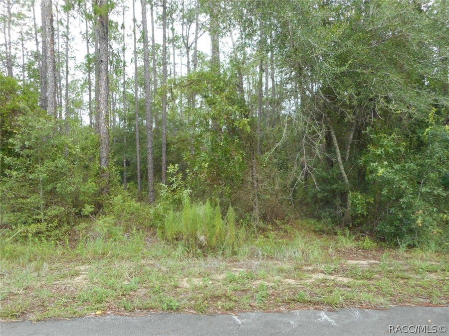 Property photo for L5 SW Southview Court, Dunnellon, FL