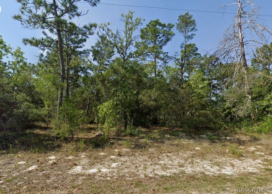 Property photo for 4230 W Fountain Lane, Dunnellon, FL