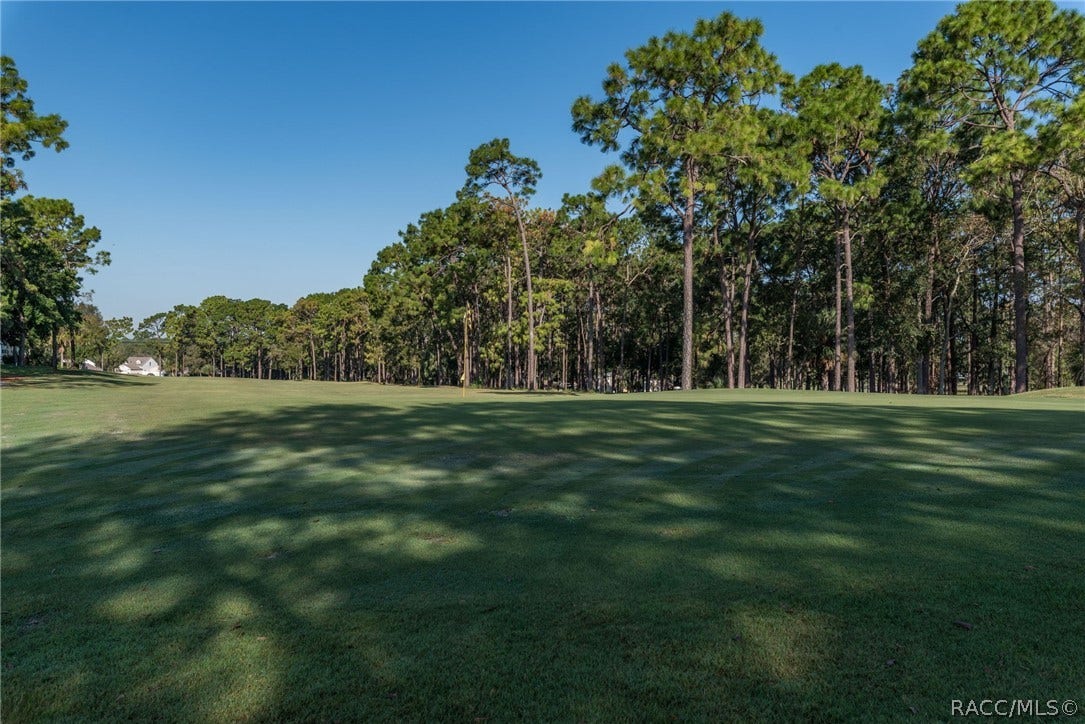 14621 Brookridge Boulevard, Brooksville, FL 34613 14621 Brookridge Boulevard, Brooksville, FL 34613