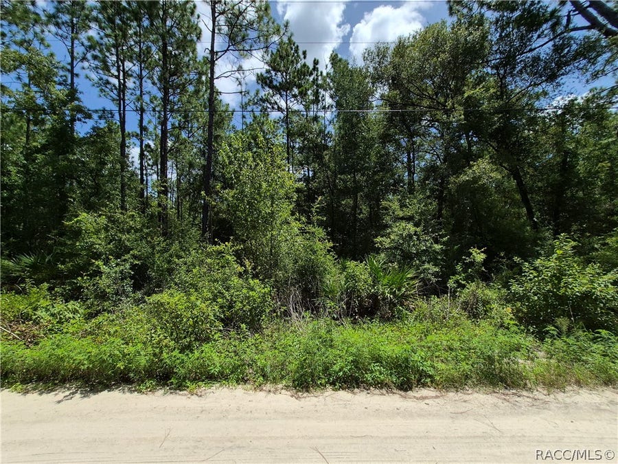 Property photo for 4831 N Sandpebble Point, Crystal River, FL