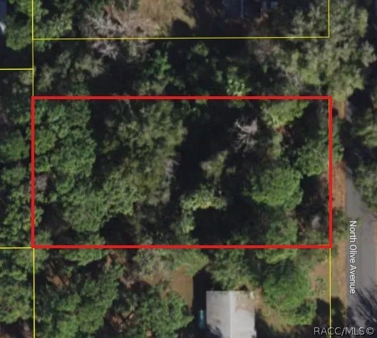 Property photo for 3408 N Olive Avenue, Crystal River, FL
