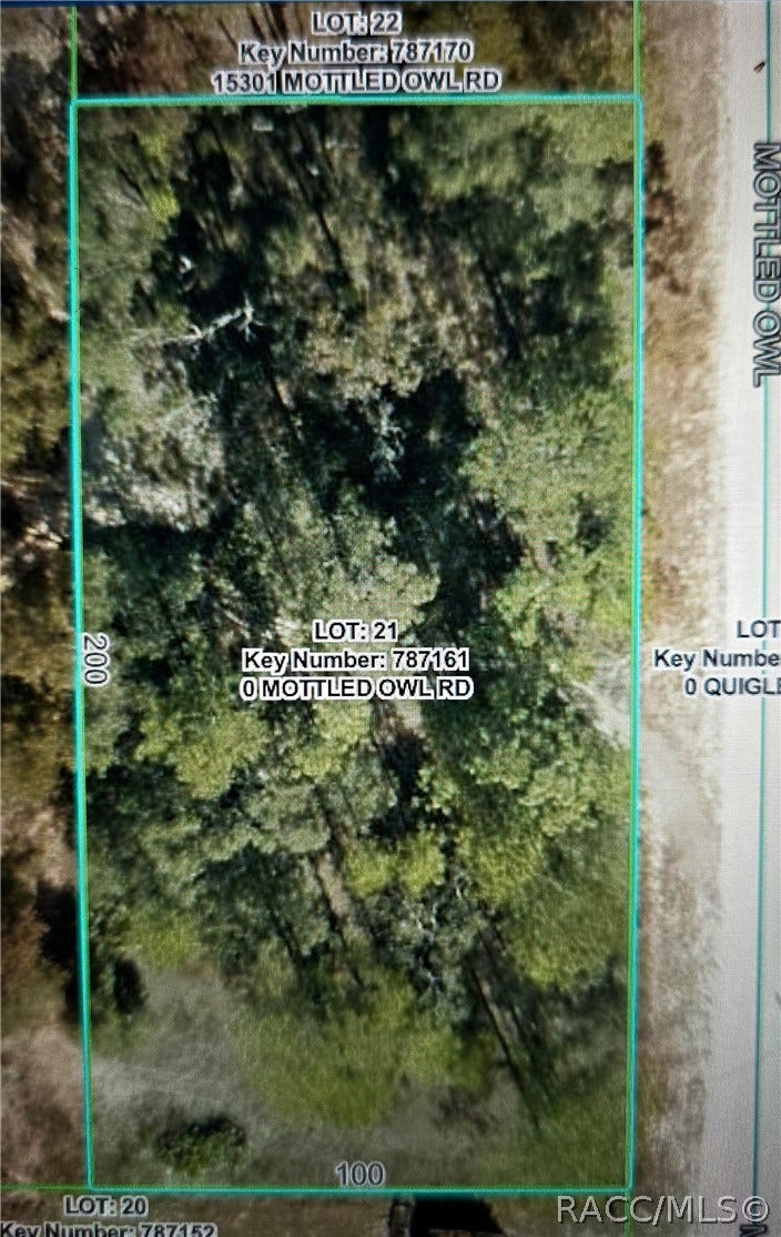 Property photo for 15281 Mottled Owl Road, Weeki Wachee, FL