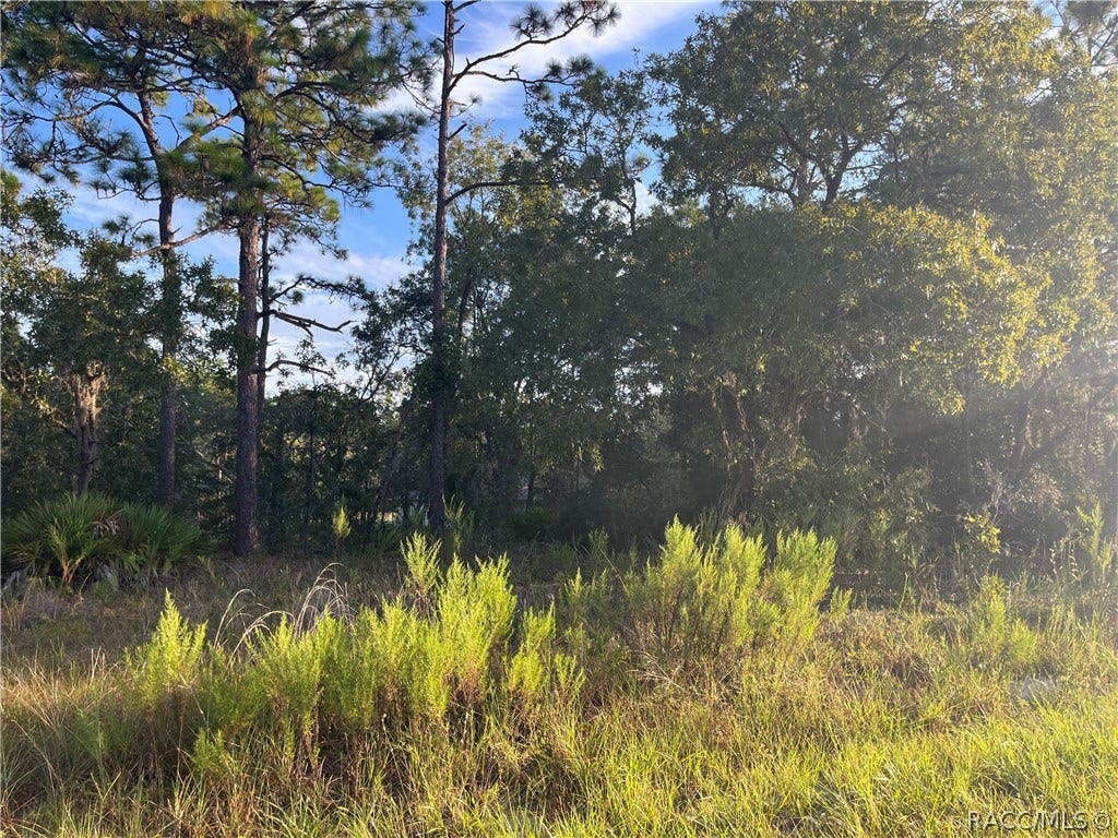 849 W Hummingbird Drive, Citrus Springs, FL 34434 849 W Hummingbird Drive, Citrus Springs, FL 34434