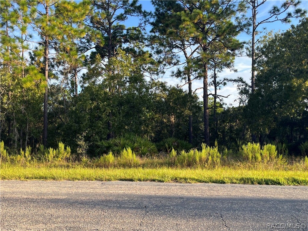 849 W Hummingbird Drive, Citrus Springs, FL 34434 849 W Hummingbird Drive, Citrus Springs, FL 34434